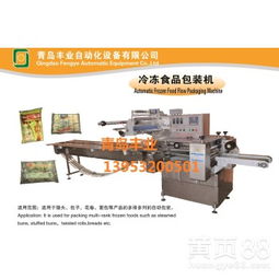 冷冻食品包装机 现代包装机械的关键技术与应用